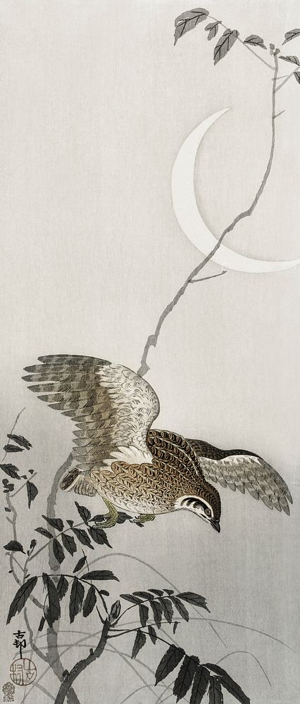Quail at moon sickle (1900 - 1910) by Ohara Koson (1877-1945). Original from The Rijksmuseum. Digitally enhanced by rawpixel.