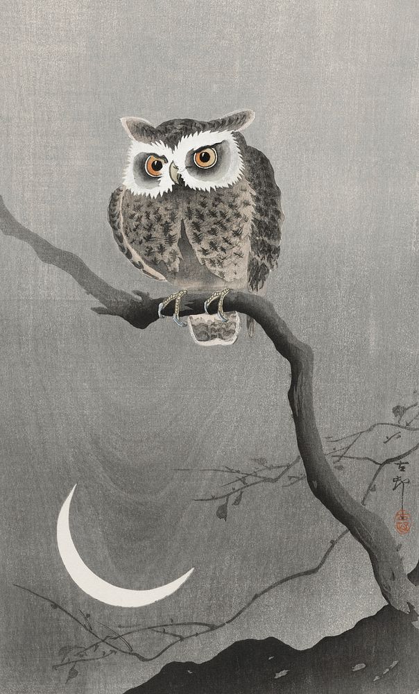 Long-eared owl on bare tree branch (1900 - 1930) by Ohara Koson (1877-1945). Original from The Rijksmuseum. Digitally…