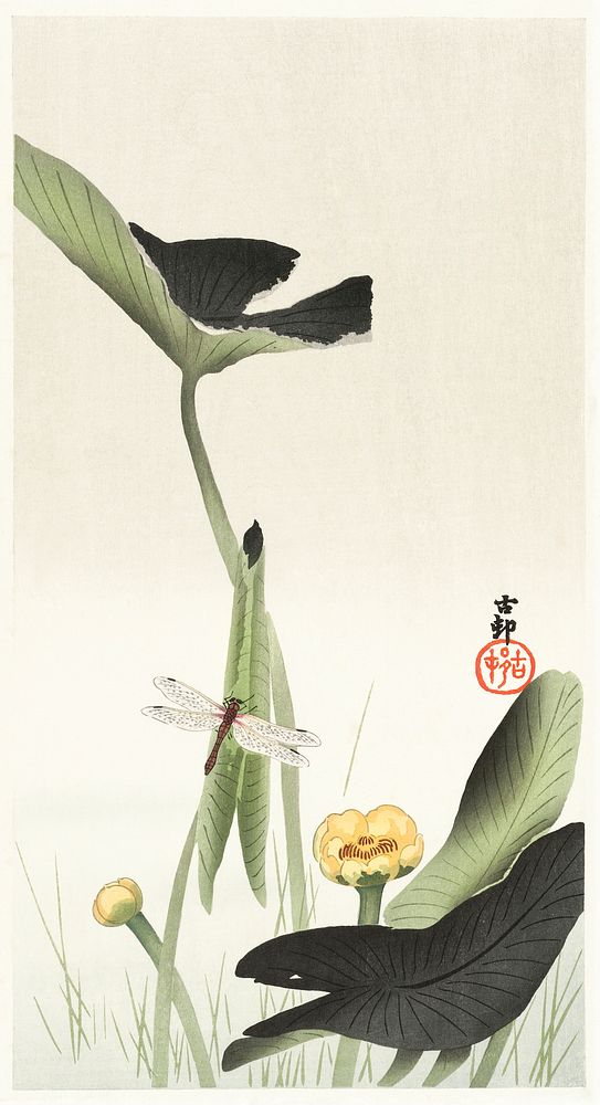 Libelle and lotus (1900 - 1930) by Ohara Koson (1877-1945). Original from The Rijksmuseum. Digitally enhanced by rawpixel.