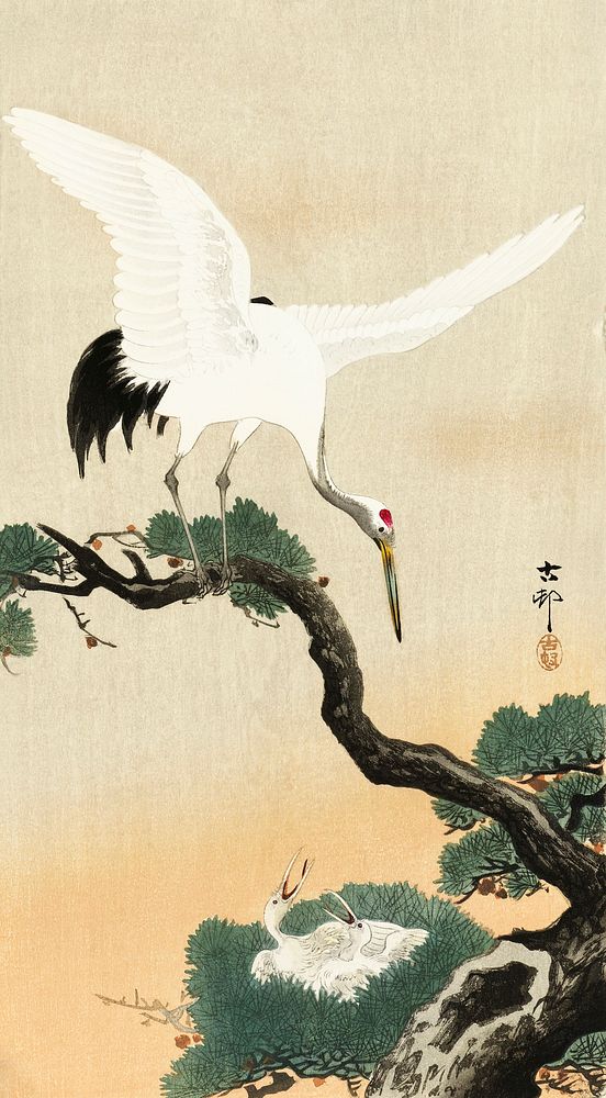 Japanese crane bird on branch of pine (1900 - 1930) by Ohara Koson (1877-1945). Original from The Rijksmuseum. Digitally…