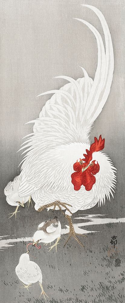 Rooster and three chicks (1900 - 1910) by Ohara Koson (1877-1945). Original from The Rijksmuseum. Digitally enhanced by…