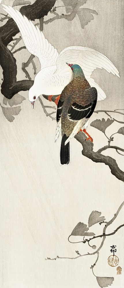 Two pigeons on a branch (1900 - 1910) by Ohara Koson (1877-1945). Original from The Rijksmuseum. Digitally enhanced by…