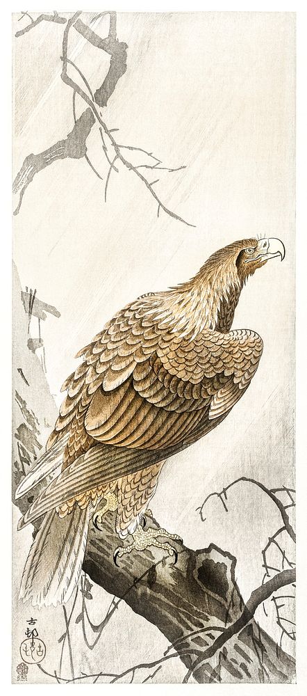 Eagle on tree branch (1900 - 1910) by Ohara Koson (1877-1945). Original from The Rijksmuseum. Digitally enhanced by rawpixel.