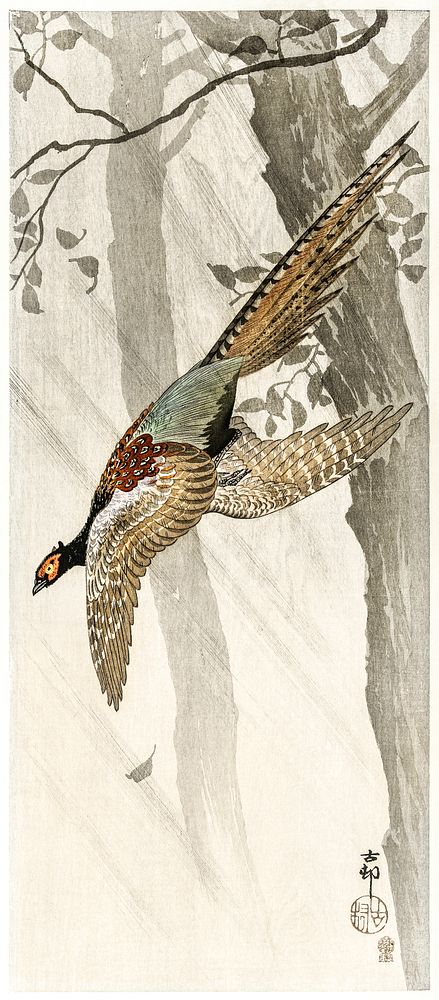 Flying pheasant (1900 - 1910) by Ohara Koson (1877-1945). Original from The Rijksmuseum. Digitally enhanced by rawpixel.