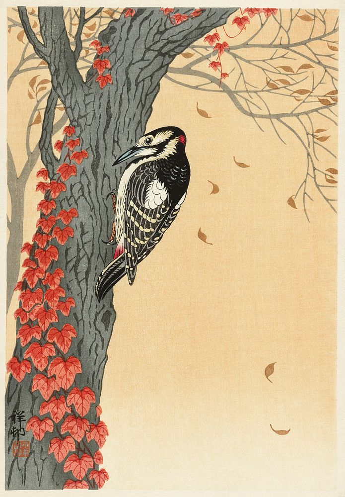 Great spotted woodpecker in tree with red ivy (1925 - 1936) by Ohara Koson (1877-1945). Original from The Rijksmuseum.…