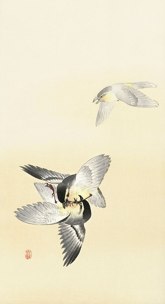 Two fighting birds (1900 - 1936) by Ohara Koson (1877-1945). Original from The Rijksmuseum. Digitally enhanced by rawpixel.