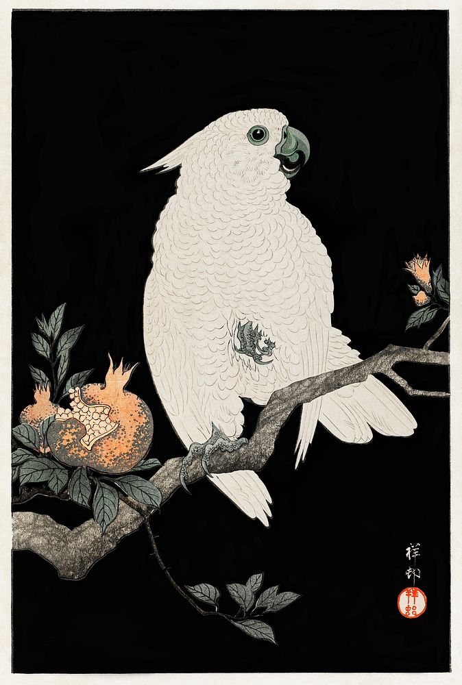 Cockatoo with pomegranate (1927) by Ohara Koson (1877-1945). Original from The Rijksmuseum. Digitally enhanced by rawpixel.