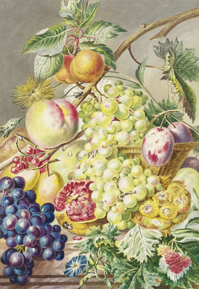 Fruitstuk (1777) by Cornelis Ploos van Amstel. Original from The Rijksmuseum. Digitally enhanced by rawpixel.
