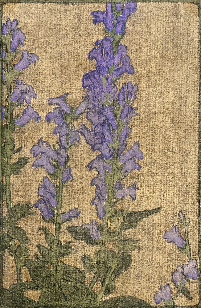 Delphinium (1915) by Hannah Borger Overbeck. Original from The Los Angeles County Museum of Art. Digitally enhanced by…