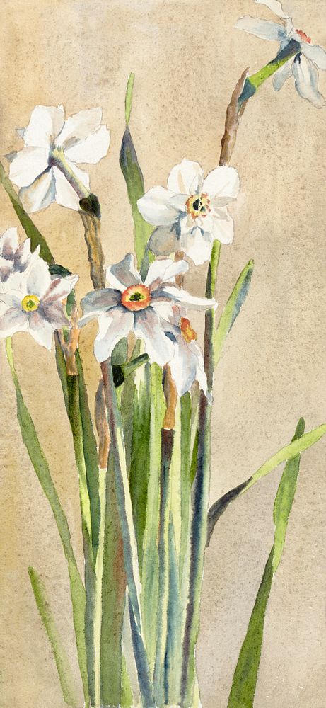 White Narcissus with Gray Accents (1915) by Hannah Borger Overbeck. Original from The Los Angeles County Museum of Art.…