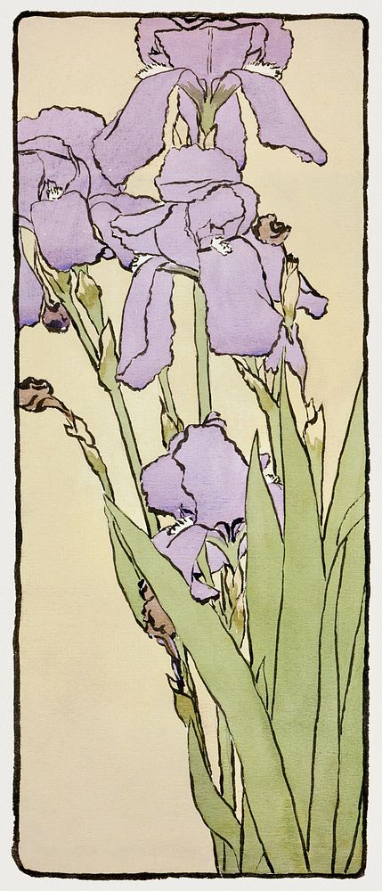 Iris (1915) by Hannah Borger Overbeck. Original from The Los Angeles County Museum of Art. Digitally enhanced by rawpixel.
