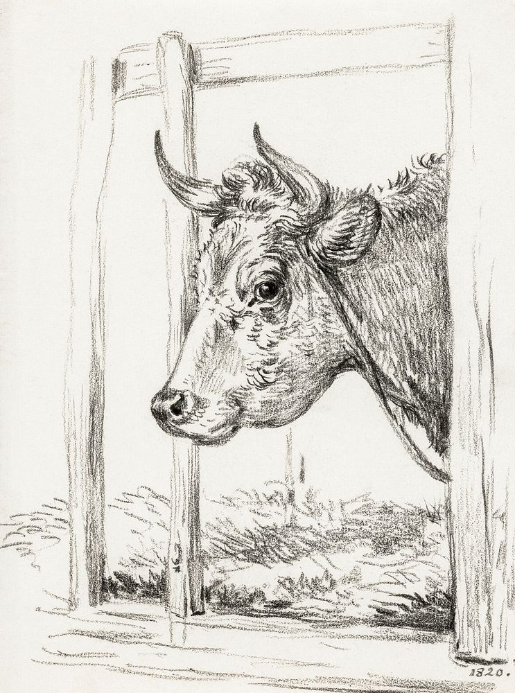 Head of a cow (1820) by Jean Bernard (1775-1883). Original from The Rijksmuseum. Digitally enhanced by rawpixel.