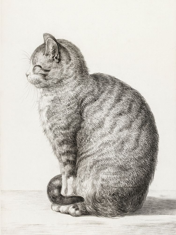 Sitting cat (1815) by Jean Bernard (1775-1883). Original from The Rijksmuseum. Digitally enhanced by rawpixel.