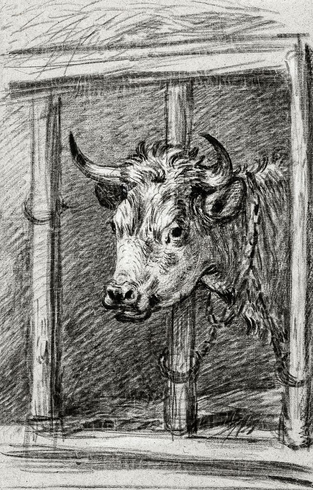 Head of a cow by Jean Bernard (1775-1883). Original from the Rijks Museum. Digitally enhanced by rawpixel.