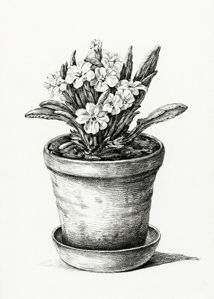 Potted plant (1824) by Jean Bernard (1775-1883). Original from the Rijks Museum. Digitally enhanced by rawpixel.
