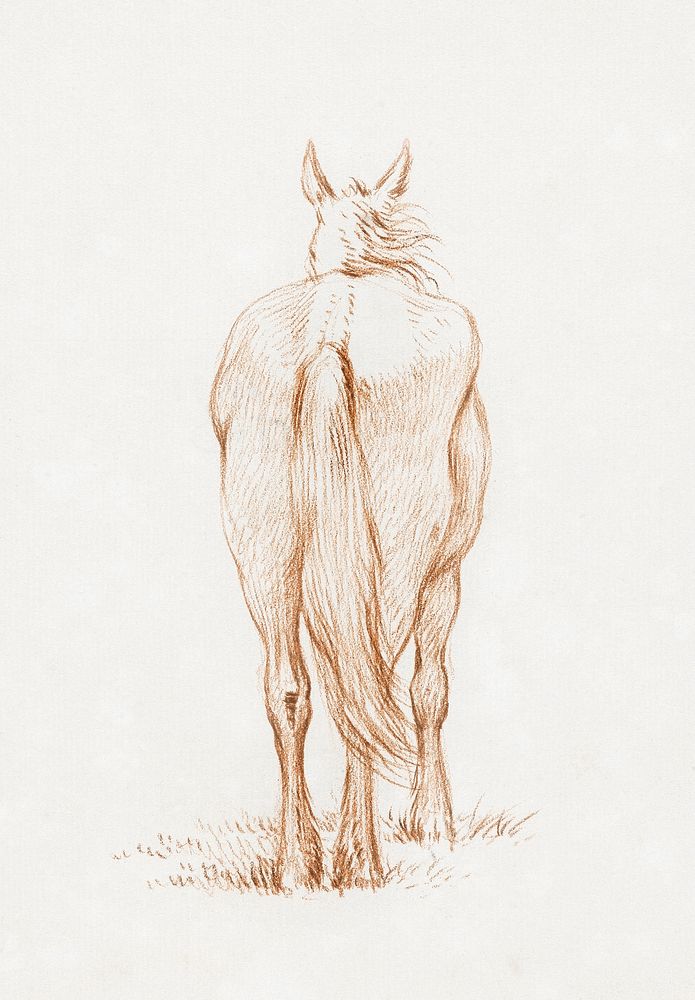 Standing horse (1815) by Jean Bernard (1775-1883). Original from The Rijksmuseum. Digitally enhanced by rawpixel.