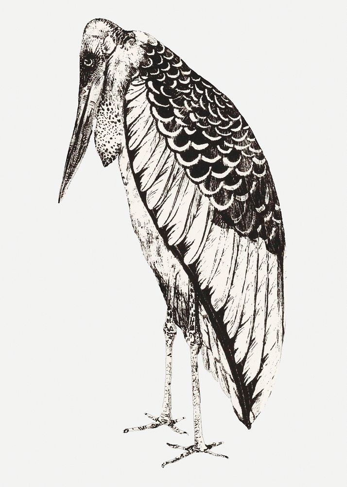 Vintage stork bird art print psd, remix from artworks by Theo van Hoytema