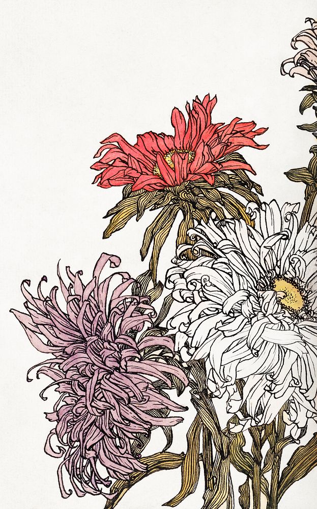 Chrysanthemums by Julie de Graag (1877-1924). Original from The Rijksmuseum. Digitally enhanced by rawpixel.