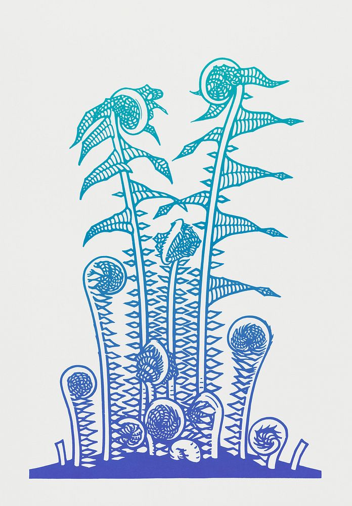 Vintage Illustration of Ferns.