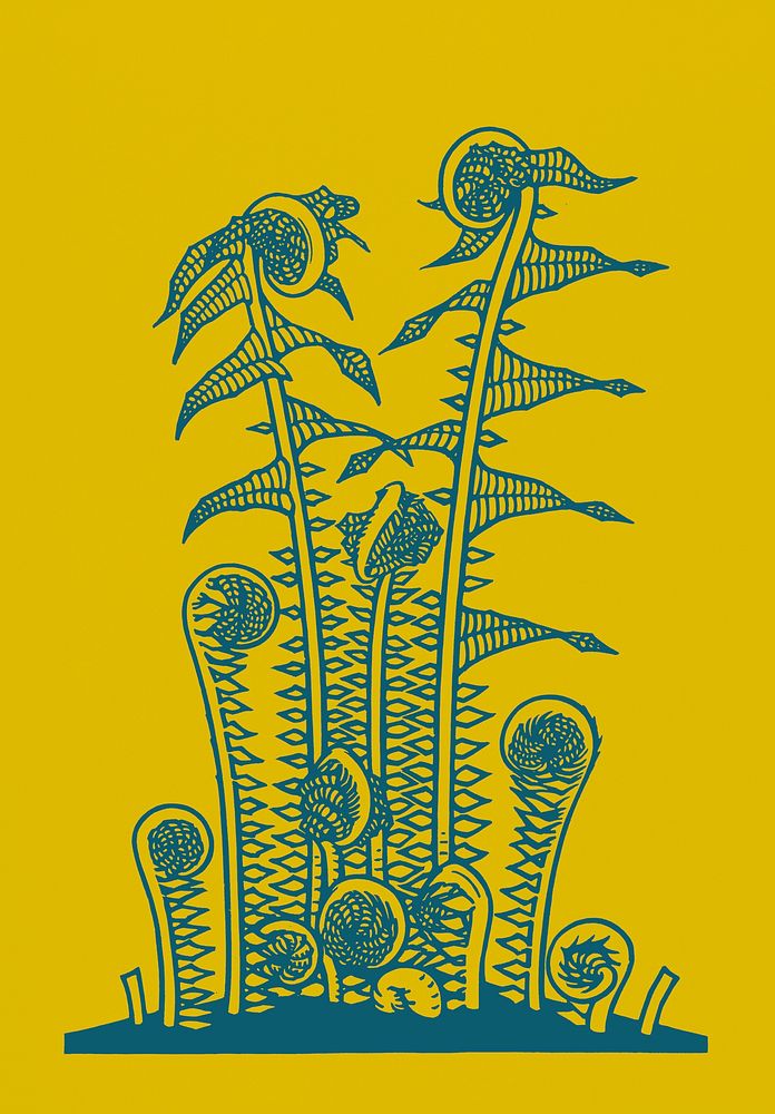 Vintage Illustration of Ferns.