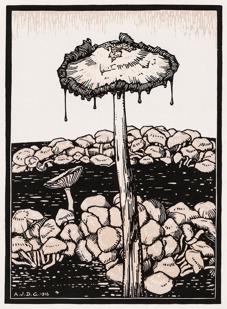 Dripping mushroom (1916) by Julie de Graag (1877-1924). Original from The Rijksmuseum . Digitally enhanced by rawpixel.