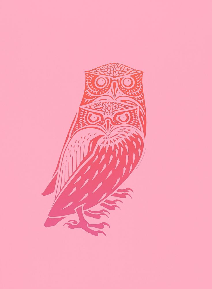 Vintage Illustration of Two owls.