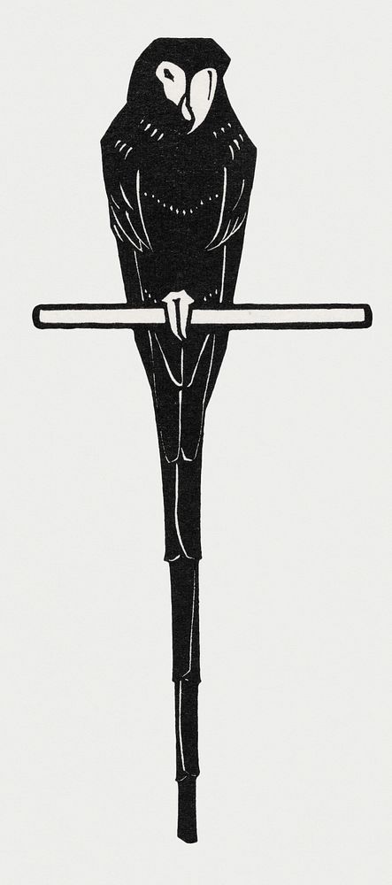Vintage Illustration of Ara.