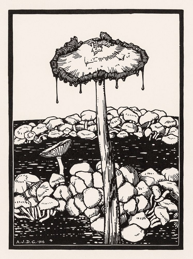 Dripping mushroom (1916) by Julie de Graag (1877-1924). Original from The Rijksmuseum. Digitally enhanced by rawpixel.
