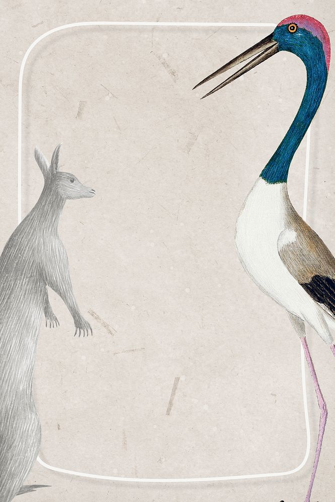 Kangaroo and black-necked stork frame vintage illustration template