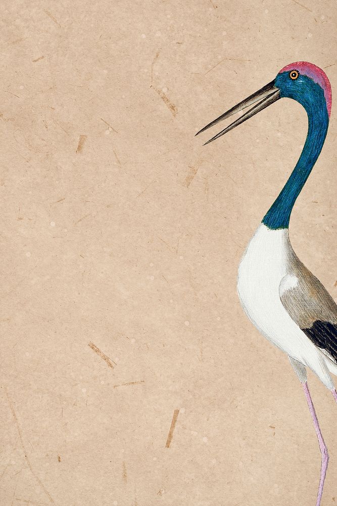 Black-necked stork banner vintage illustration template