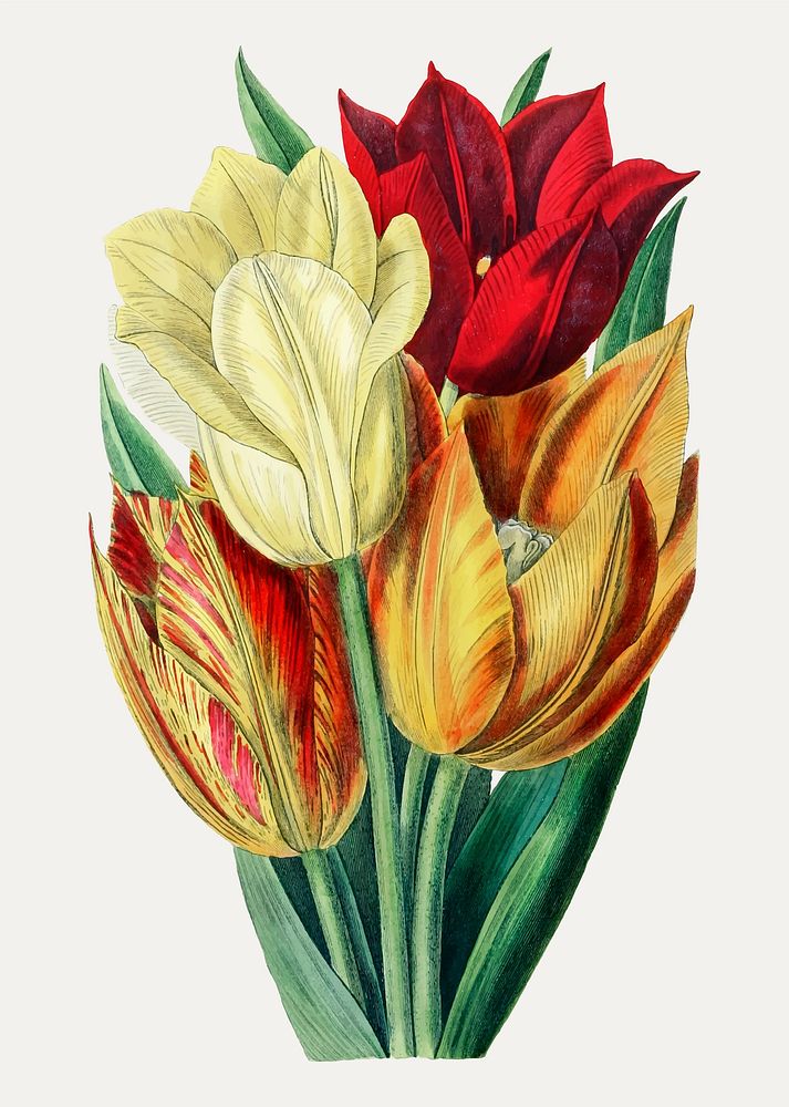 Vintage rough stemmed tulip branch for decoration