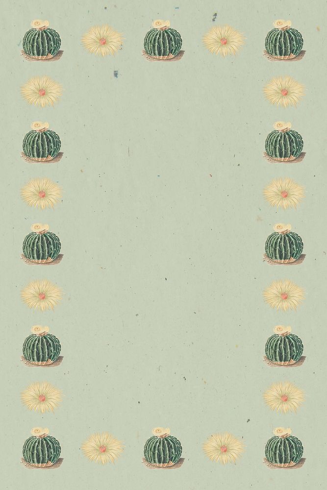 Vintage green cactus and flower border frame on texture paper design element