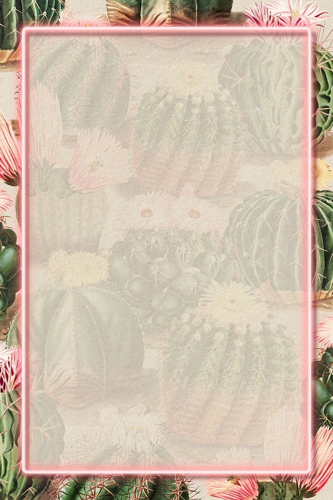 Rectangle pink neon frame on vintage cactus background design element