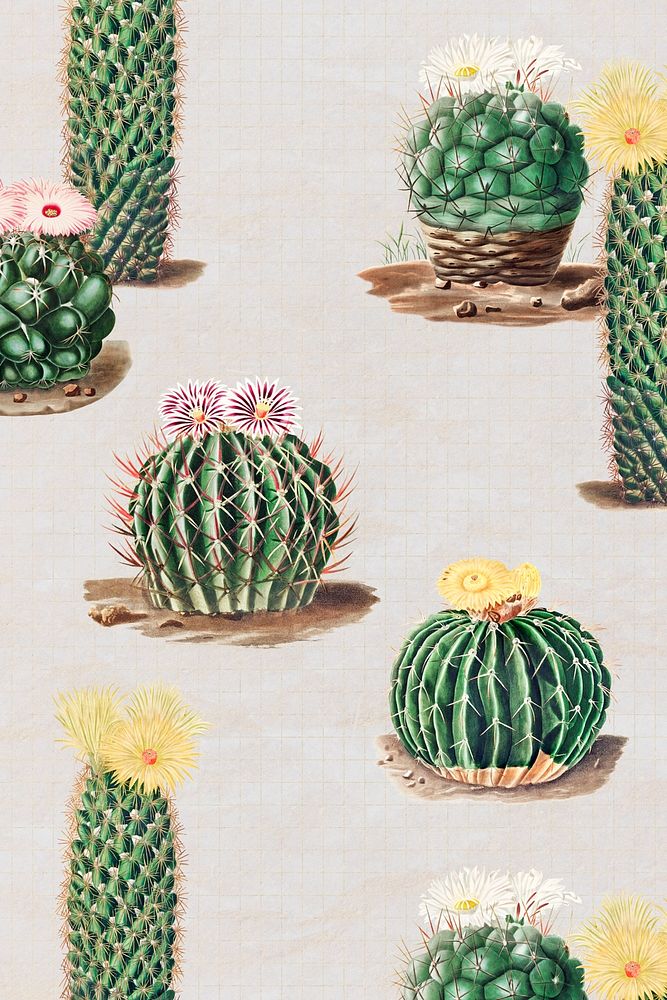 Vintage green cactus with flower illustration pattern background