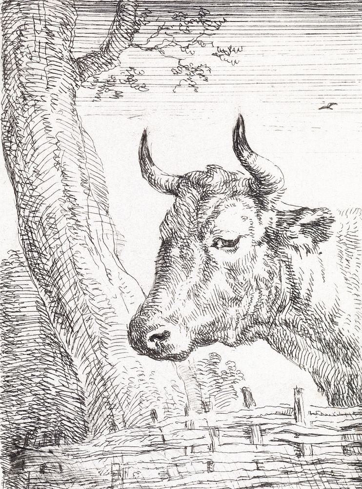 Head of a cow (ca. 1725&ndash;1792) print in high resolution by Aert Schouman. Original from The Rijksmuseum. Digitally…