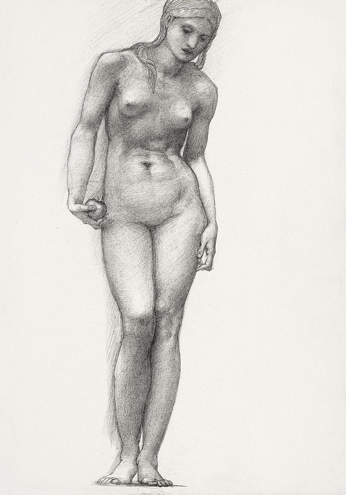 Venus with Golden Apple in Right Hand, for the Troy Triptych (c. 1873–77) drawing in high resolution by Sir Edward…