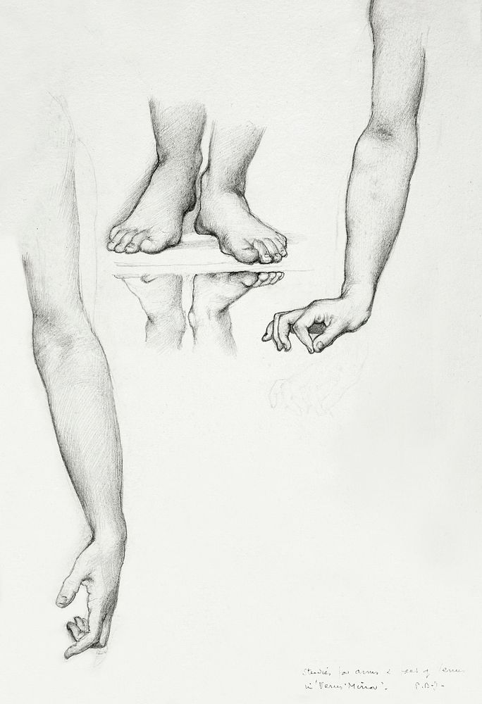 Study for Mirror of Venus: Arms and Feet of Venus (c. 1873&ndash;77) drawing in high resolution by Sir Edward…