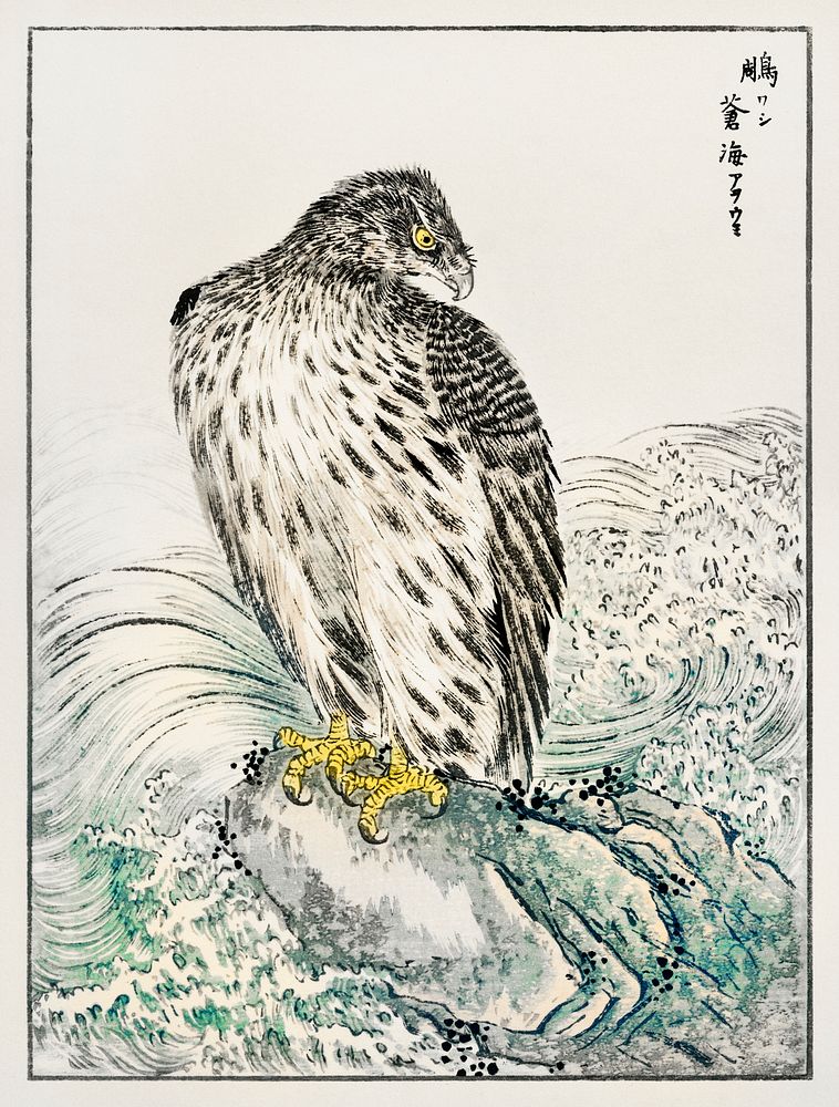 Japanese Golden Eagle and Dark Blue Sea illustration. Digitally enhanced from our own original edition of Pictorial…