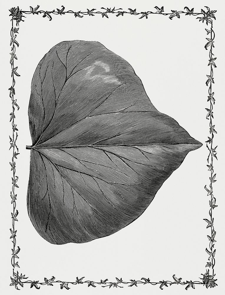Vintage illustration of Arborescens