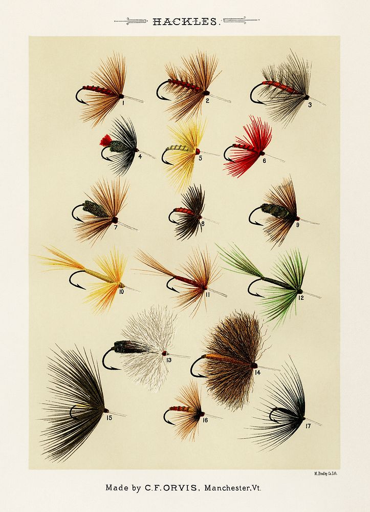 Buy Bass Flies Socks, Illustration From Favorite Flies by Mary