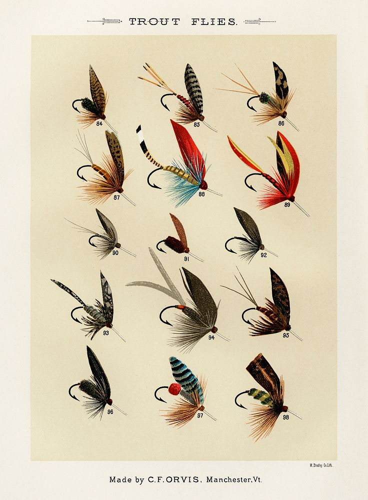 Buy Bass Flies Socks, Illustration From Favorite Flies by Mary