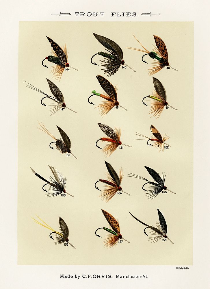 Trout Flies.  Digitally enhanced from our own original 1892 edition of Favorite Flies and Their Histories by Mary Orvis…