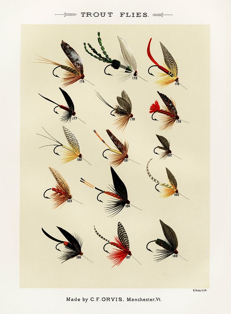Trout Flies. Digitally enhanced from our own original 1892 edition of Favorite Flies and Their Histories by Mary Orvis…