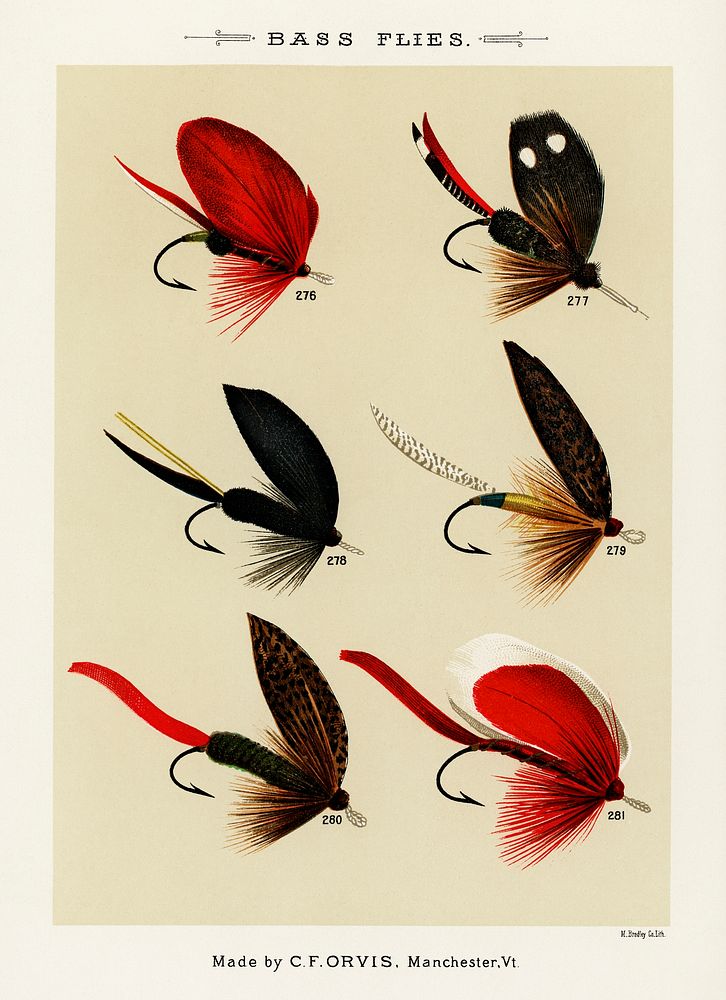 Bass Flies.  Digitally enhanced from our own original 1892 edition of Favorite Flies and Their Histories by Mary Orvis…