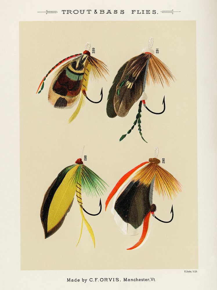 Trout & Bass Flies.  Digitally enhanced from our own original 1892 edition of Favorite Flies and Their Histories by Mary…