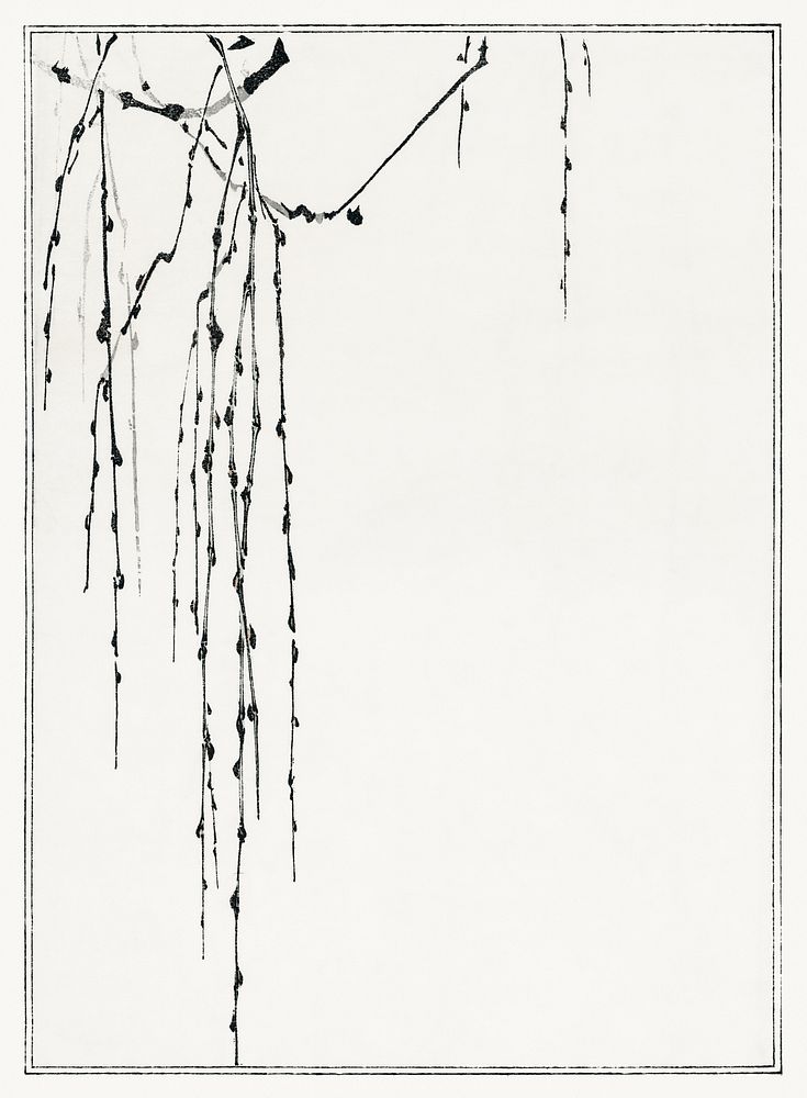 Tree branches. Illustration from Seitei Kacho Gafu (1890&ndash;1891) by Wantanabe Seitei, a prominent Kacho-ga artist.…