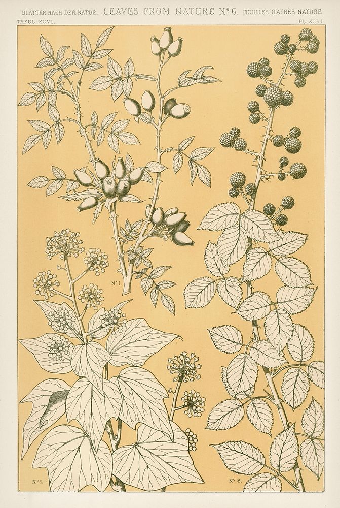 Vintage flower pattern. Digitally enhanced from our own 19th Century Grammar of Ornament book by Owen Jones.