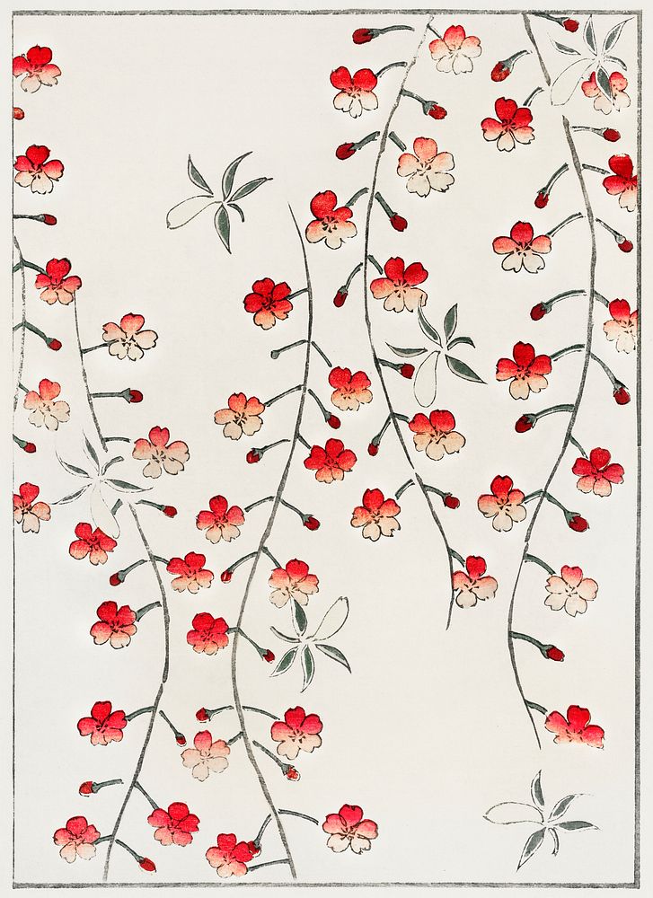 Cherry blossom illustration. Digitally enhanced from our own original edition of Shin Bijutsukai