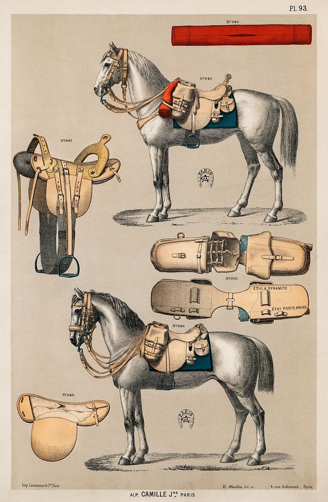 A chromolithograph of horses with antique horseback riding equipments from an antique horseback riding catalog (1890).…