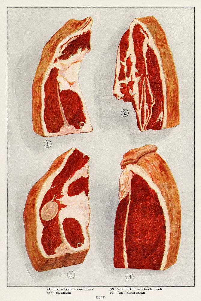 Beef Sirloin from the book, The Grocer’s Encyclopedia (1911). Digitally enhanced from our own antique plate. 